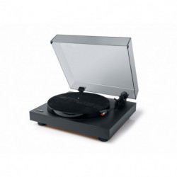 Muse Turntable stereo...