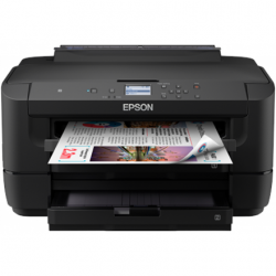 Epson Printer with two...