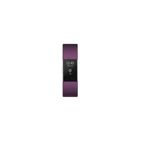 Fitbit Fitness Tracker...