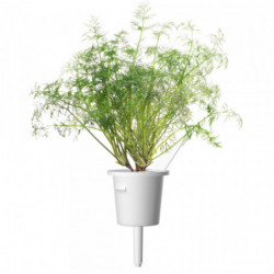 SMART HOME DILL...