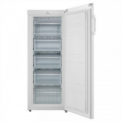 Goddess Refrigerator...