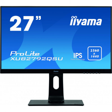 Iiyama Edge-to-edge monitor...